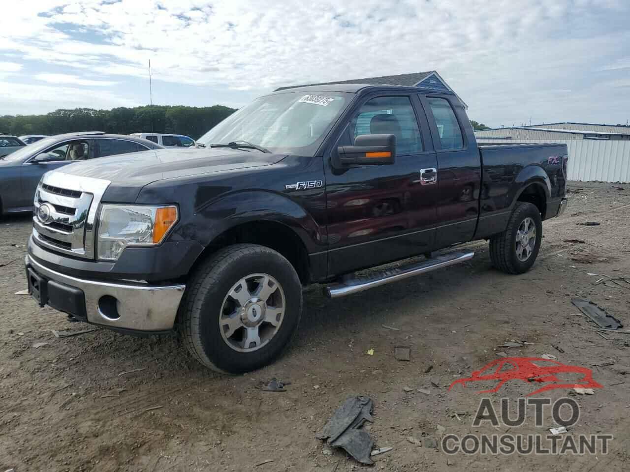 FORD F-150 2010 - 1FTEX1EW3AFB69254