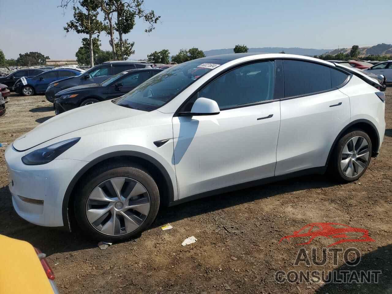 TESLA MODEL Y 2023 - 7SAYGDEE9PF885629