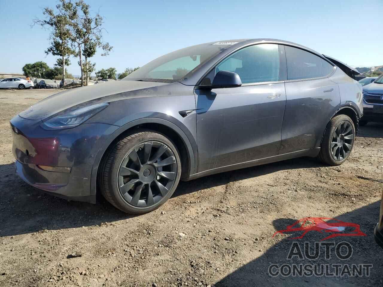 TESLA MODEL Y 2022 - 7SAYGAEE1NF433105