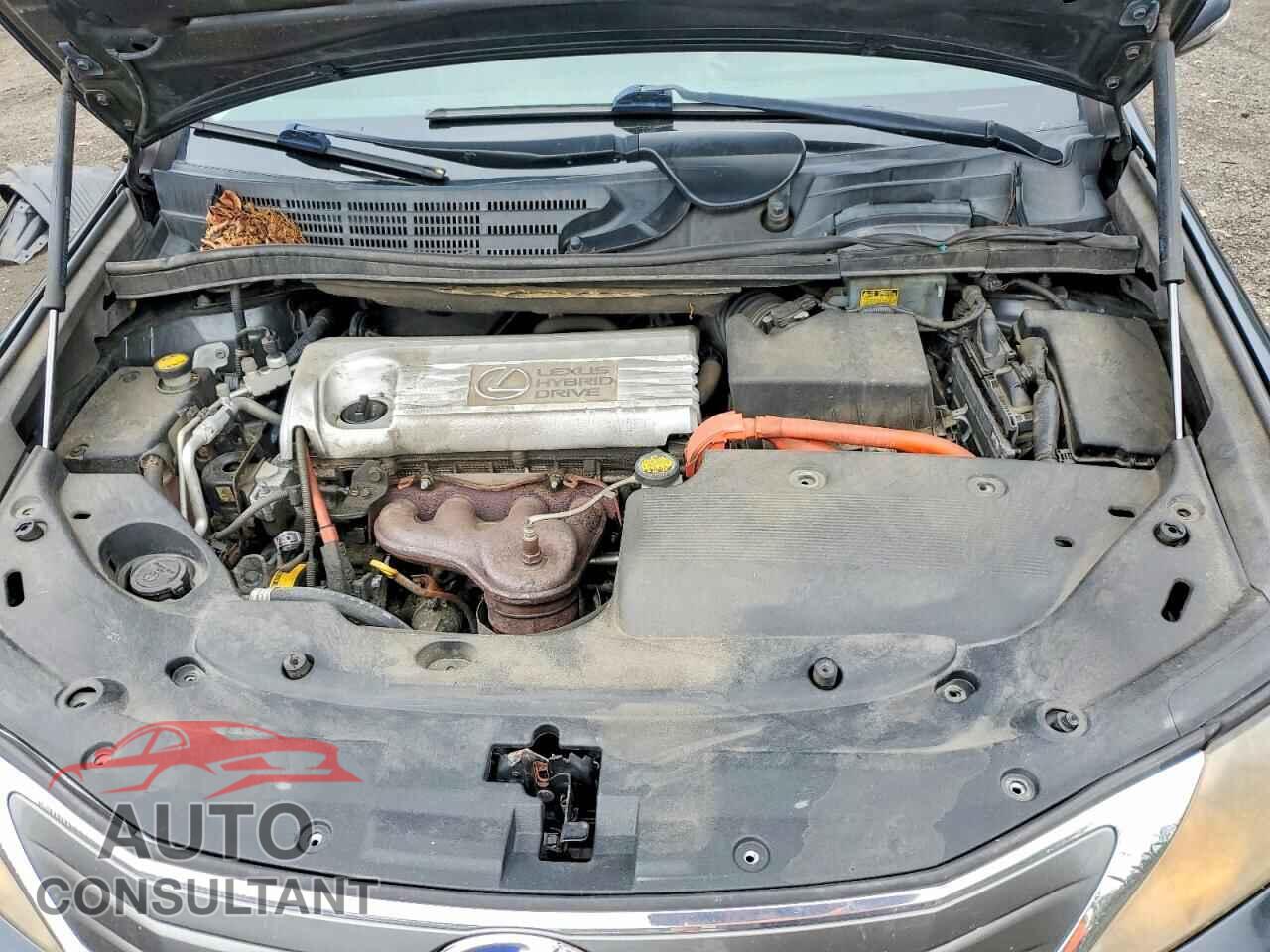 LEXUS HS 2010 - JTHBB1BA7A2037999