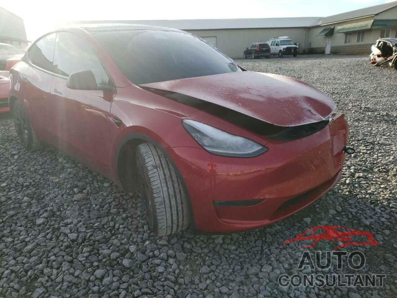 TESLA MODEL Y 2021 - 5YJYGDEF3MF089184