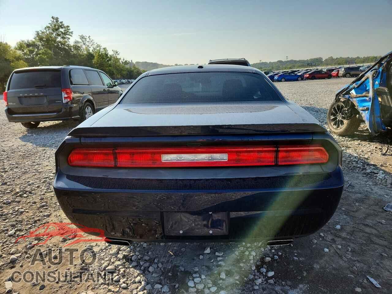 DODGE CHALLENGER 2014 - 2C3CDYAG7EH101538