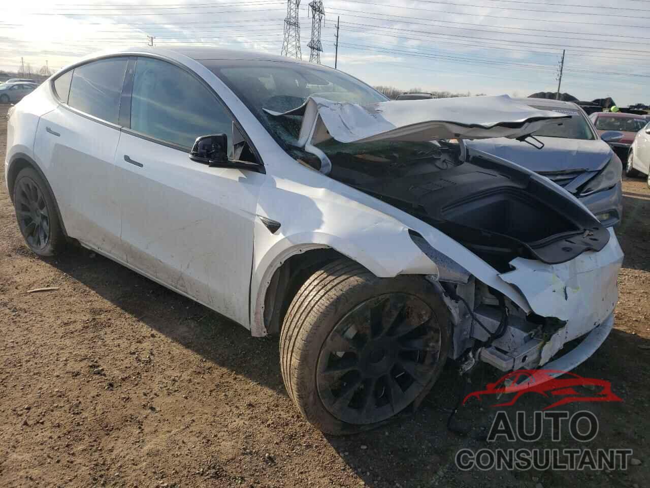 TESLA MODEL Y 2020 - 5YJYGDEEXLF011247