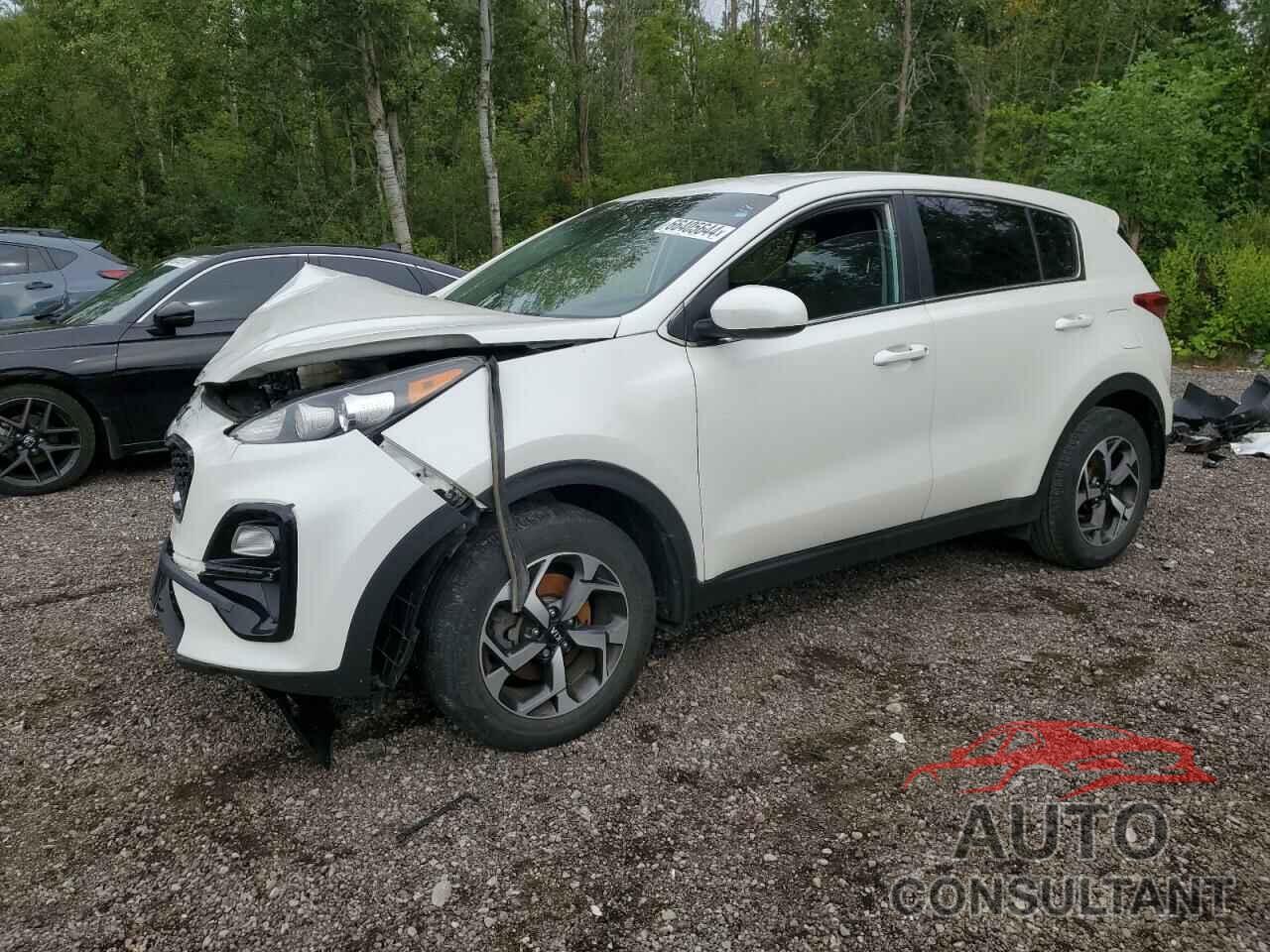 KIA SPORTAGE 2020 - KNDPM3ACXL7663598