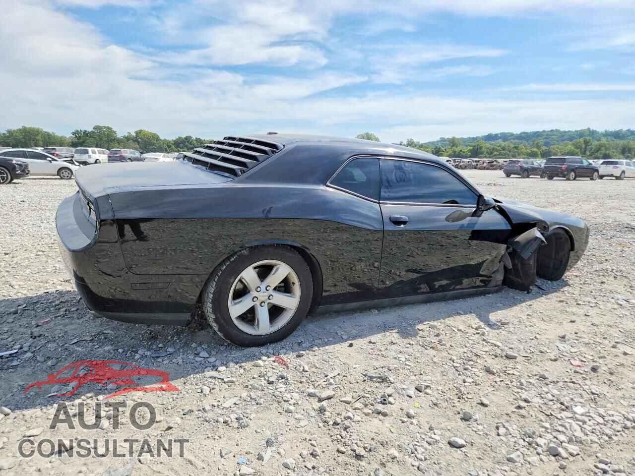 DODGE CHALLENGER 2014 - 2C3CDYAG2EH247314