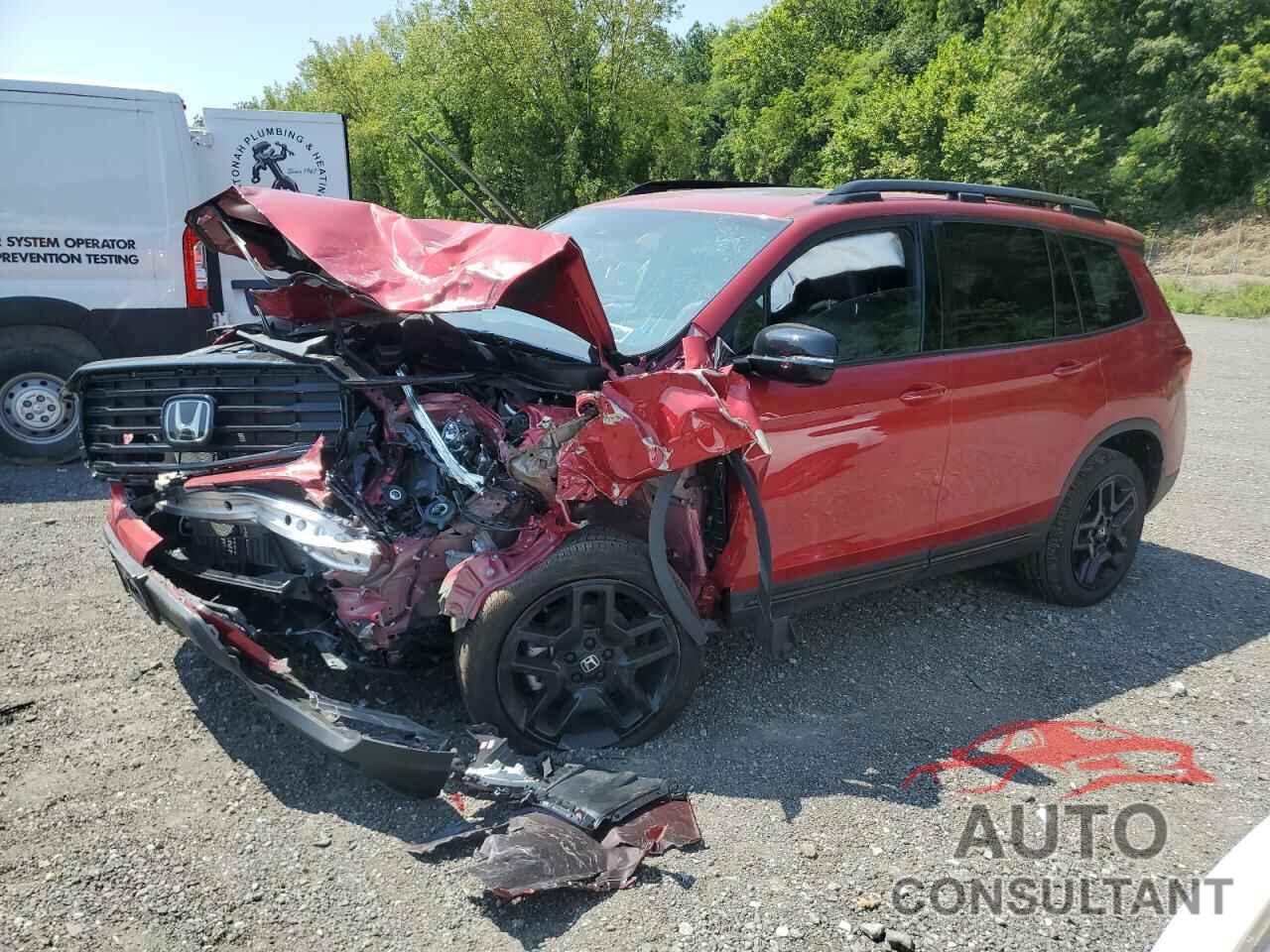 HONDA PASSPORT B 2024 - 5FNYF8H83RB023152