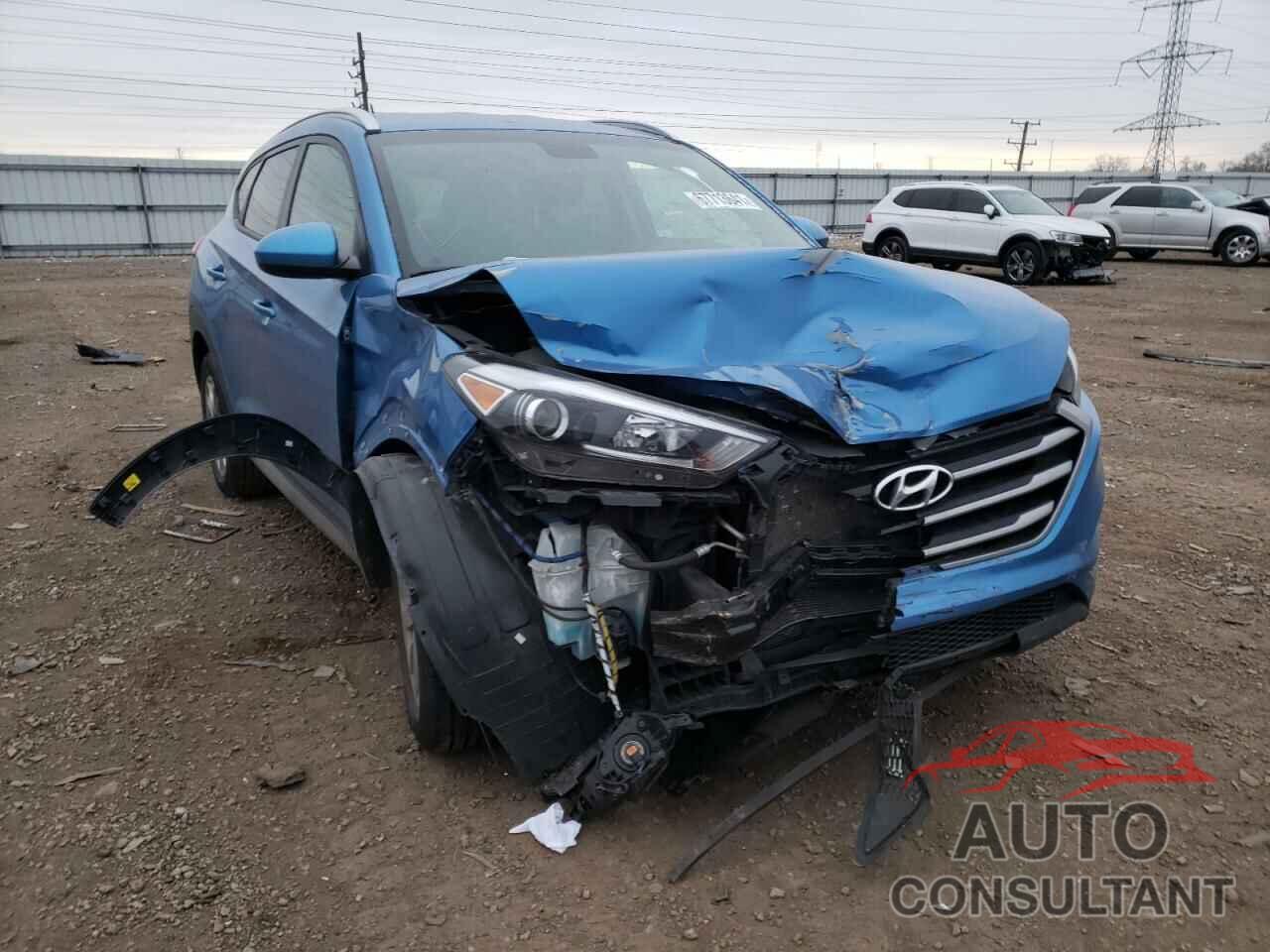 HYUNDAI TUCSON 2017 - KM8J33A40HU252278