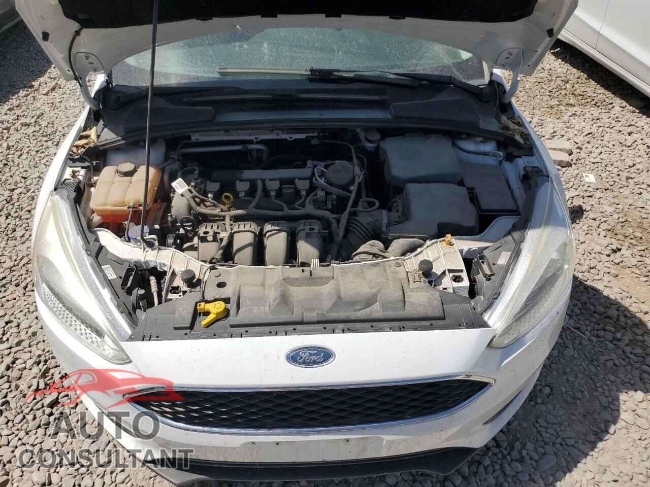 FORD FOCUS 2016 - 1FADP3E29GL203489