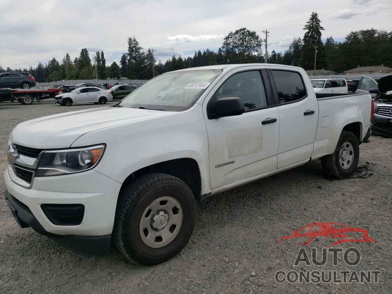 CHEVROLET COLORADO 2019 - 1GCGSBEN5K1116297