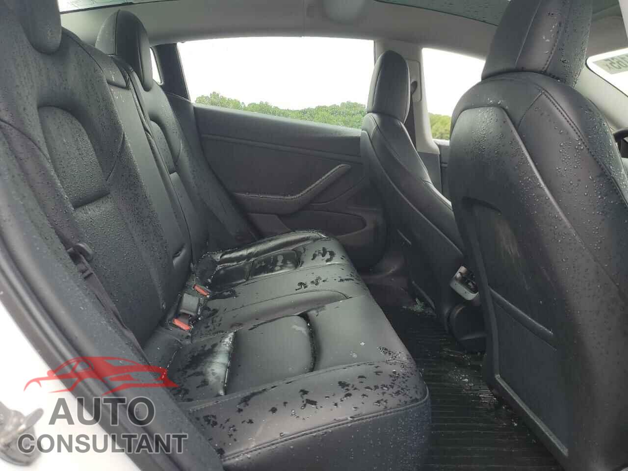 TESLA MODEL 3 2020 - 5YJ3E1EB7LF807717