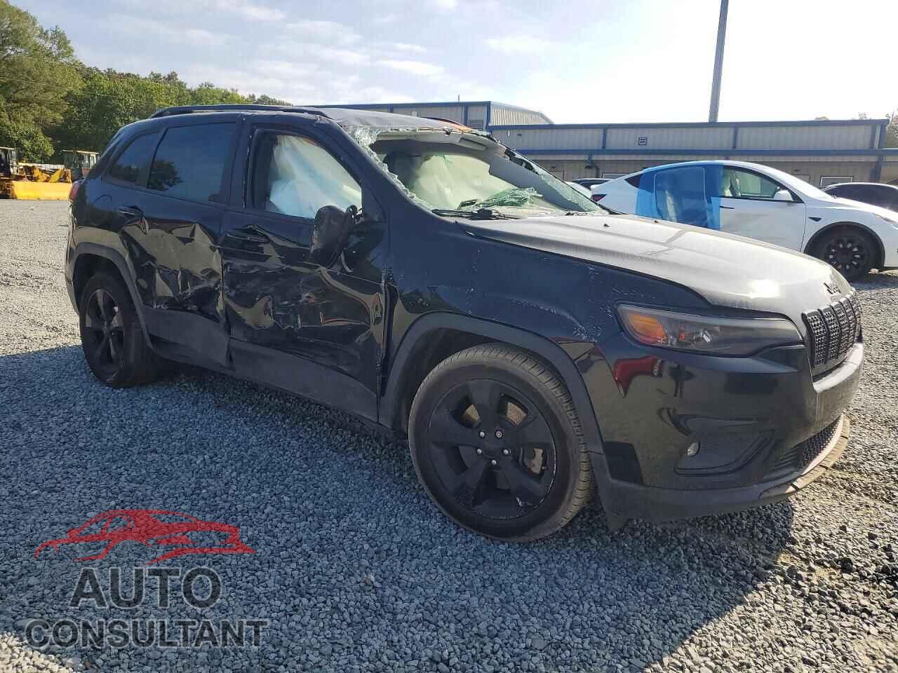 JEEP CHEROKEE 2019 - 1C4PJLLB4KD338877