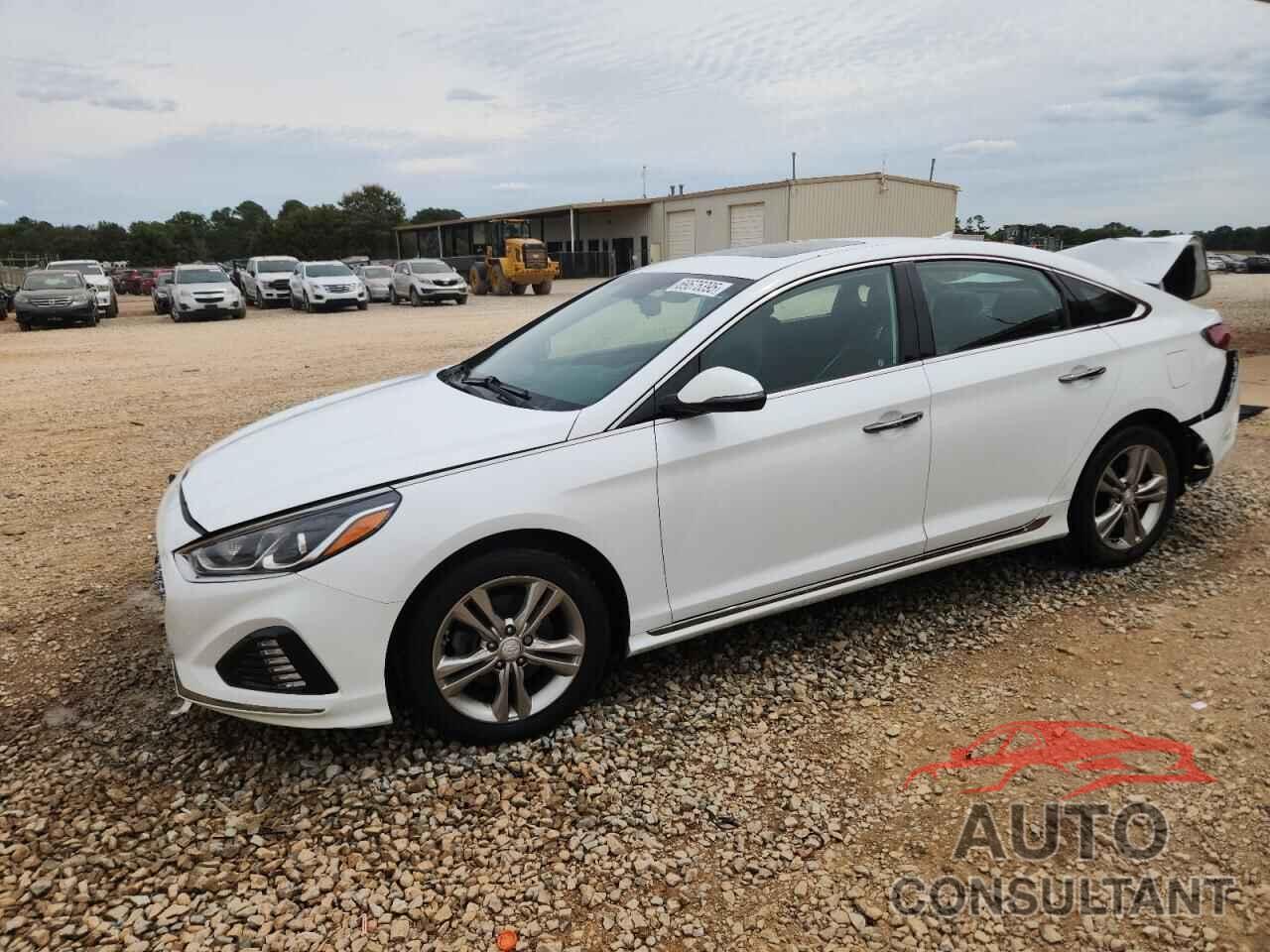 HYUNDAI SONATA 2019 - 5NPE34AF0KH813948