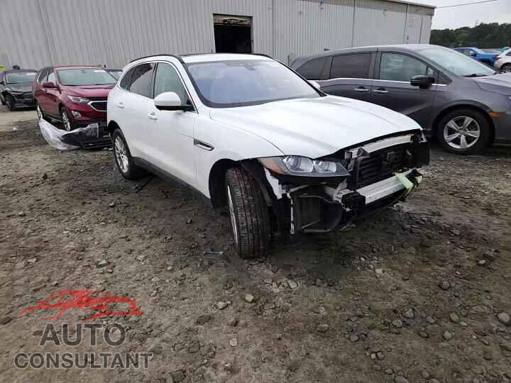 JAGUAR F-PACE 2019 - SADCK2FX5KA609772