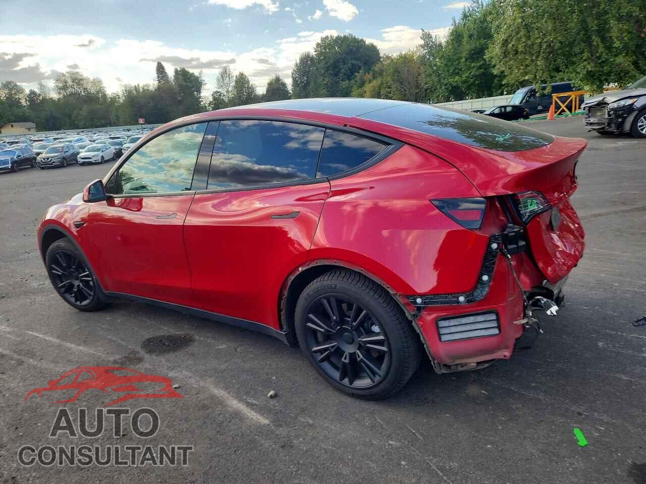 TESLA MODEL Y 2021 - 5YJYGAED0MF181575