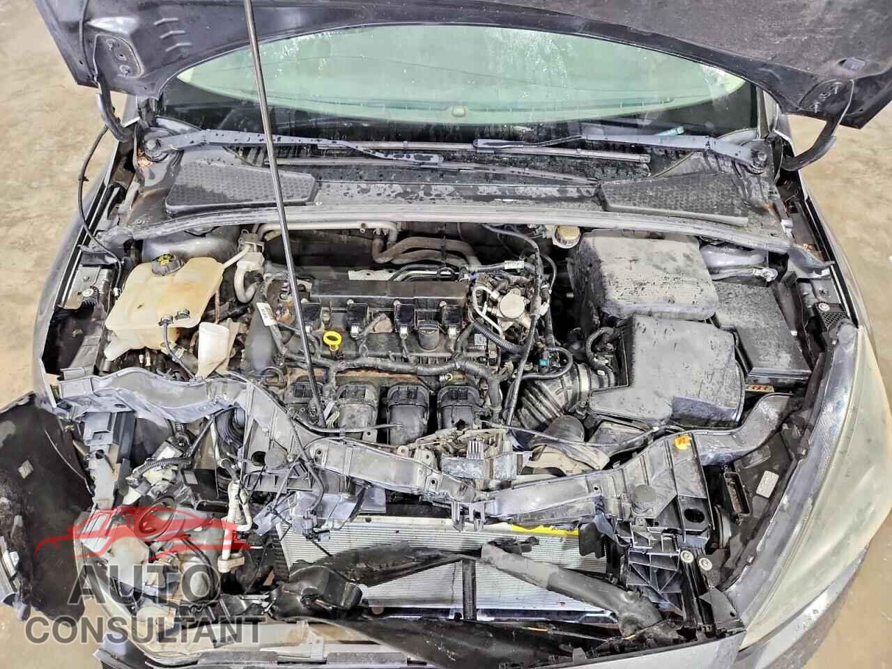 FORD FOCUS 2016 - 1FADP3K26GL325988