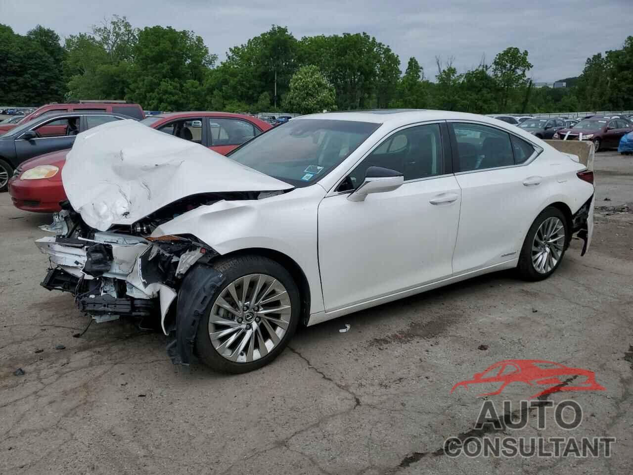 LEXUS ES300 2020 - 58AE21B17LU011820