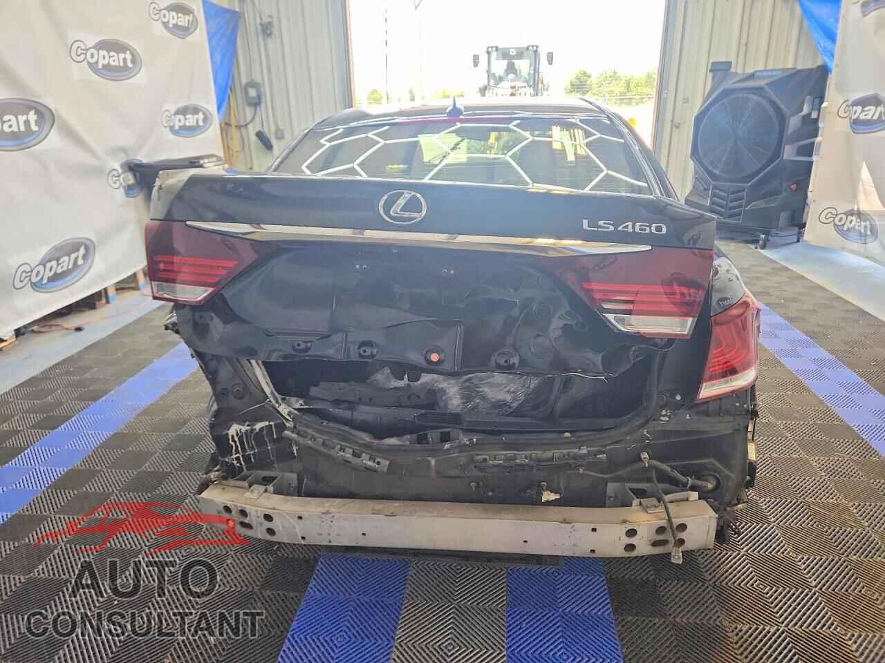 LEXUS LS 460 2013 - JTHBL5EF6D5124050