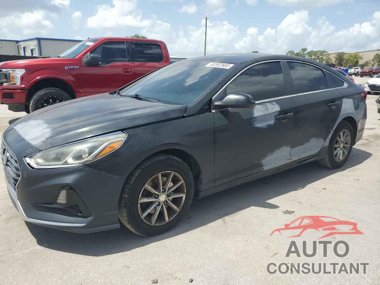 HYUNDAI SONATA 2019 - 5NPE24AF8KH741142