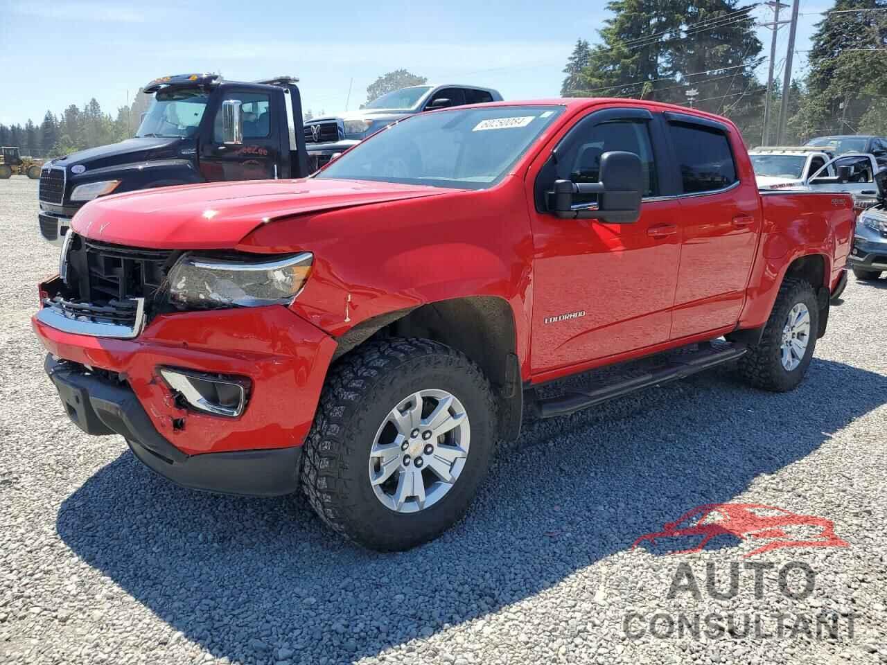 CHEVROLET COLORADO 2019 - 1GCGTCEN4K1211677