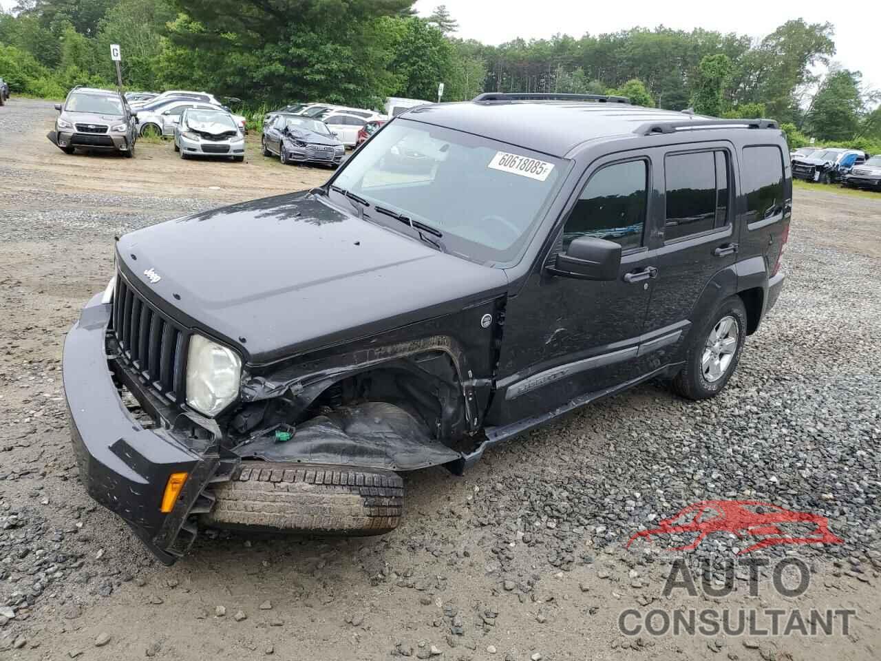 JEEP LIBERTY 2011 - 1J4PN2GK7BW538644