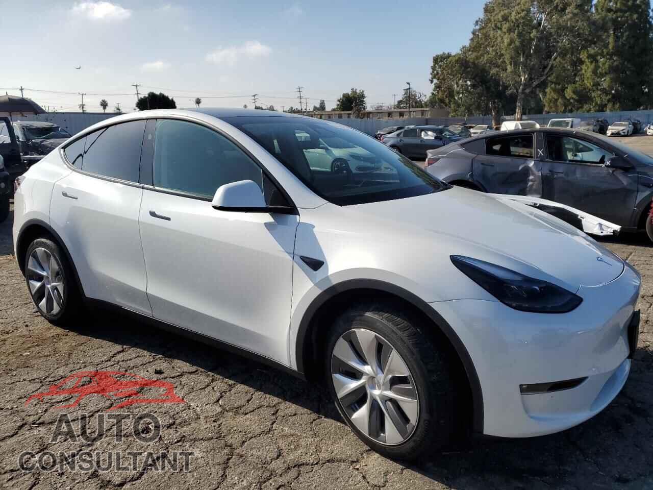 TESLA MODEL Y 2024 - 7SAYGDEE7RF079016