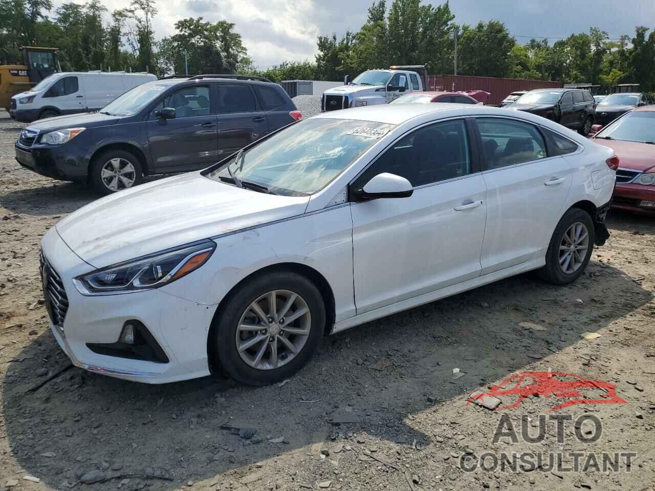 HYUNDAI SONATA 2019 - 5NPE24AF4KH766376