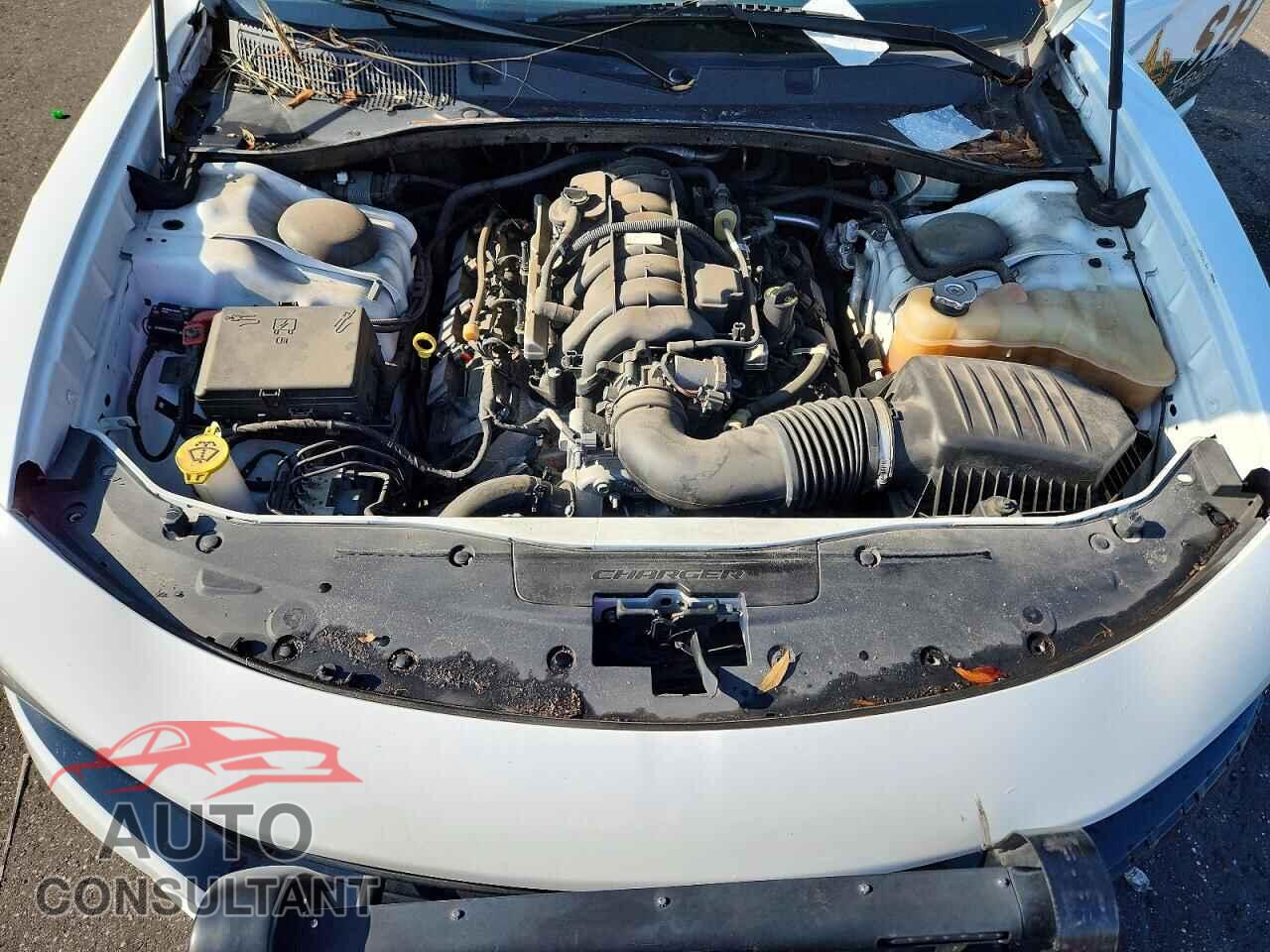 DODGE CHARGER 2021 - 2C3CDXAT4MH570219