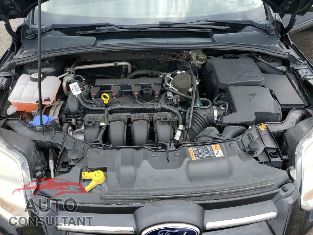 FORD FOCUS 2014 - 1FADP3F29EL454248