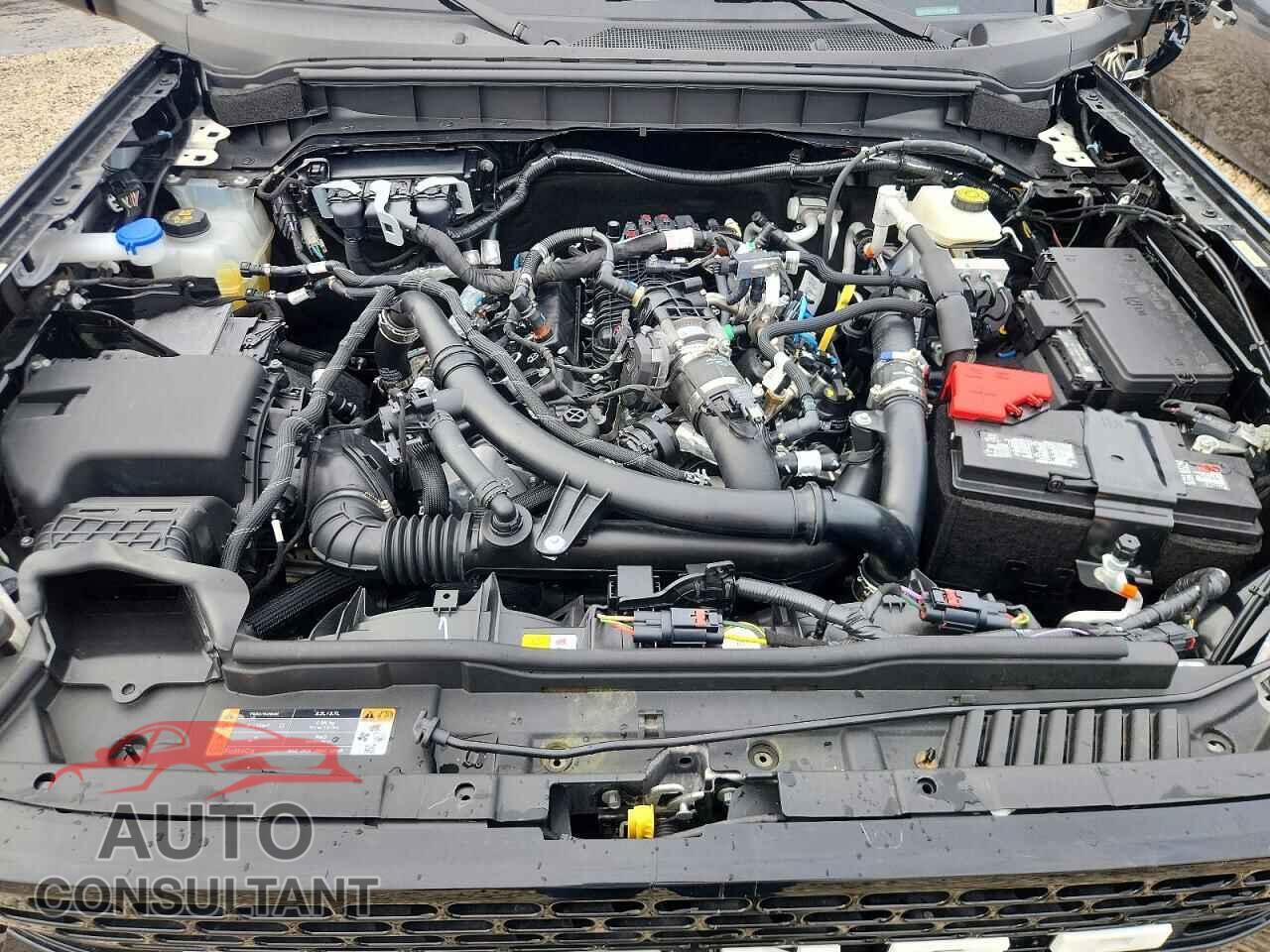 FORD BRONCO 2023 - 1FMEE5DP7PLB43334