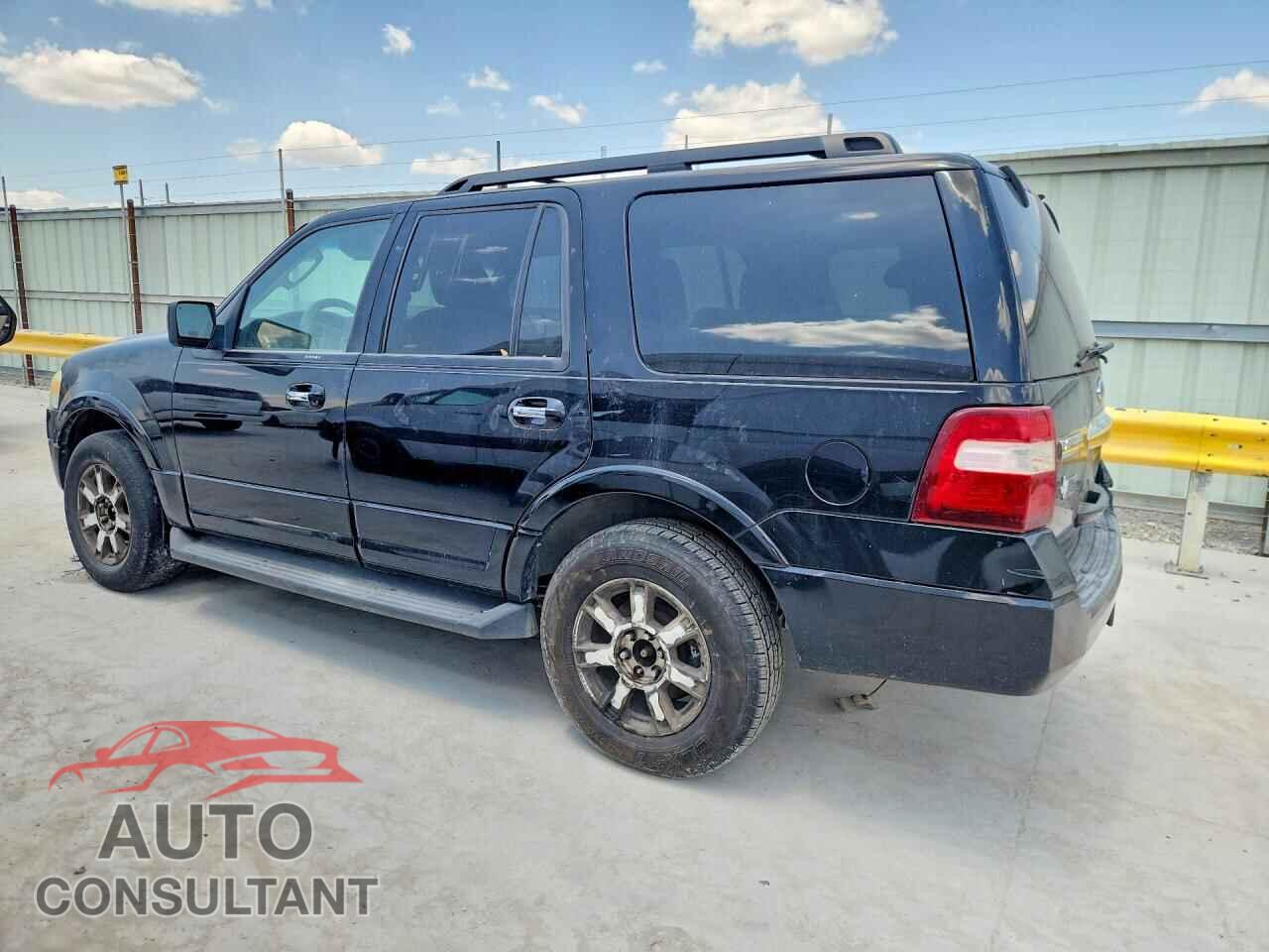 FORD EXPEDITION 2009 - 1FMFU15519LA00539