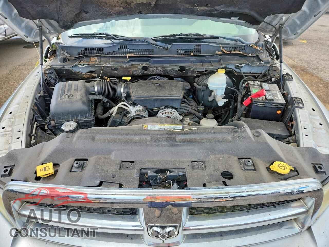 DODGE RAM 1500 2010 - 1D7RB1GP2AS101322