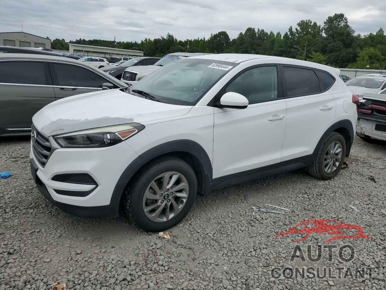 HYUNDAI TUCSON 2017 - KM8J23A45HU584591