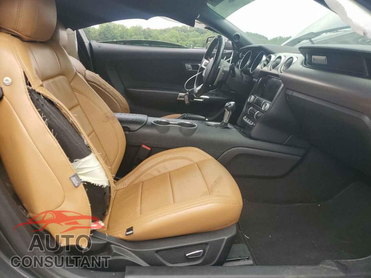 FORD MUSTANG 2019 - 1FA6P8CF3K5116535