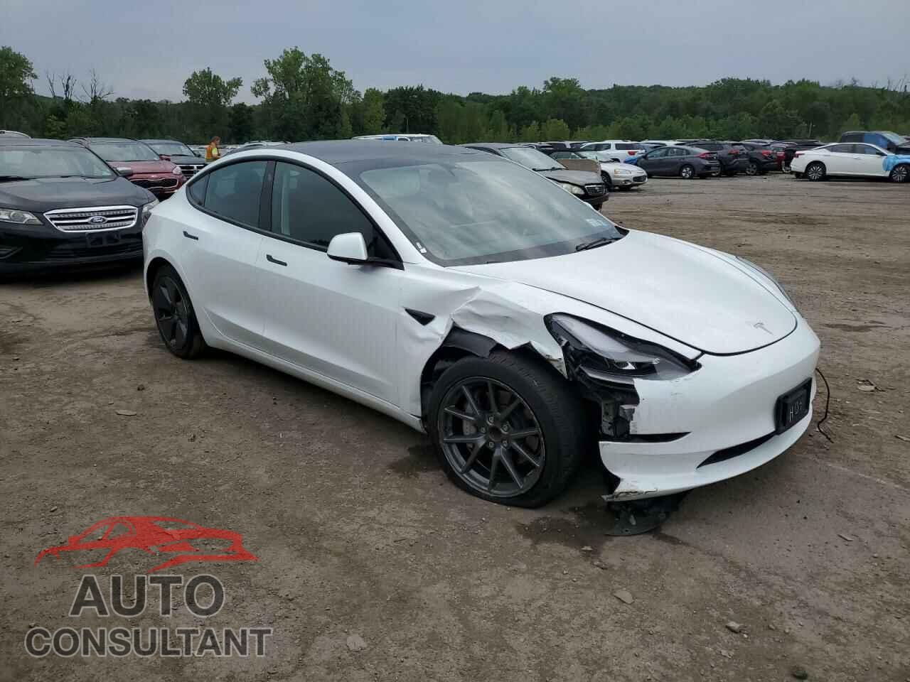 TESLA MODEL 3 2023 - 5YJ3E1EA2PF436561