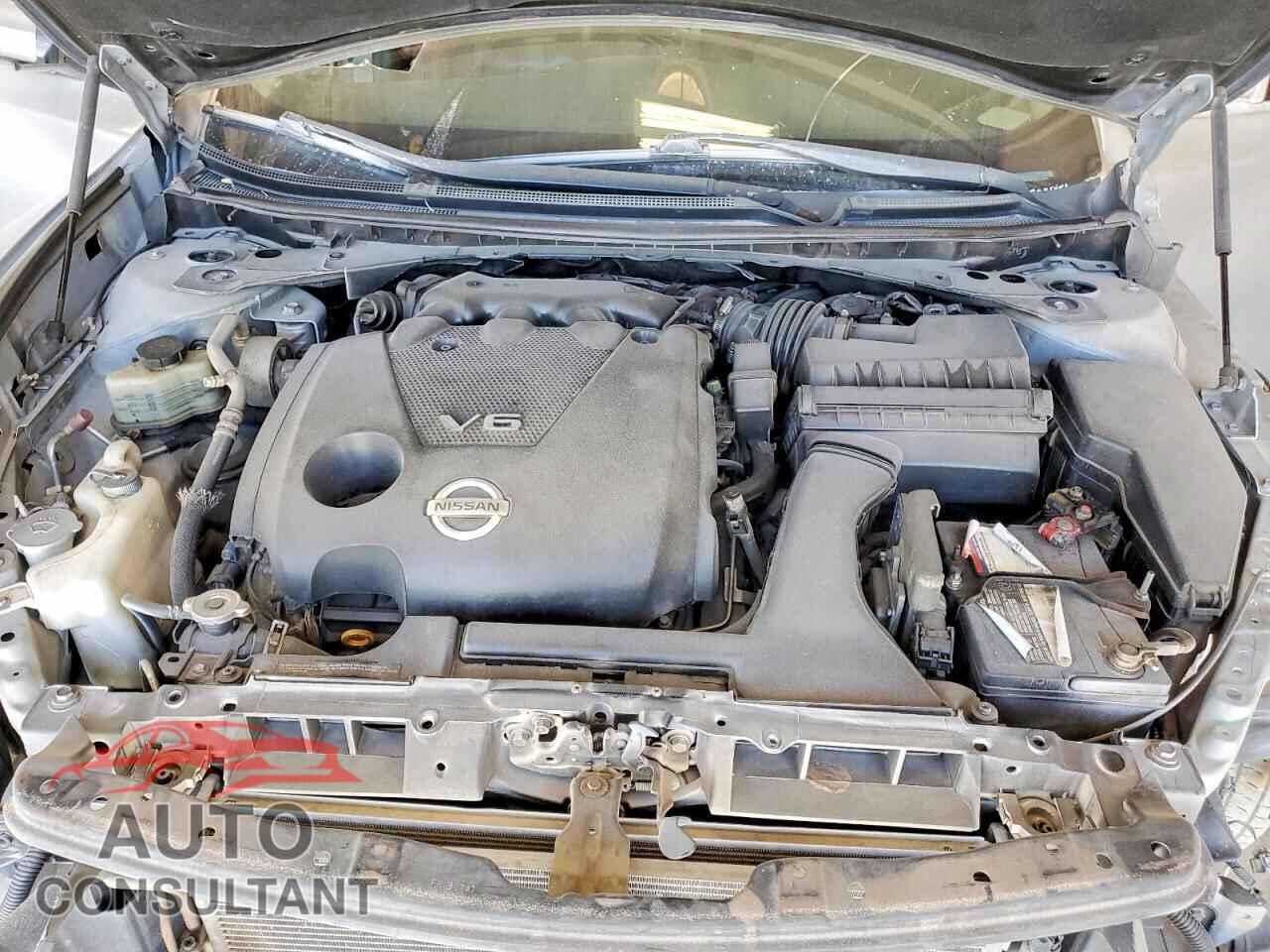 NISSAN MAXIMA 2011 - 1N4AA5AP6BC843895