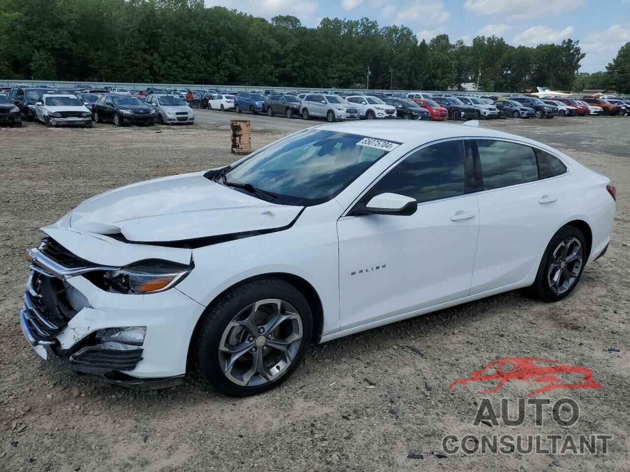 CHEVROLET MALIBU 2020 - 1G1ZD5ST9LF112063