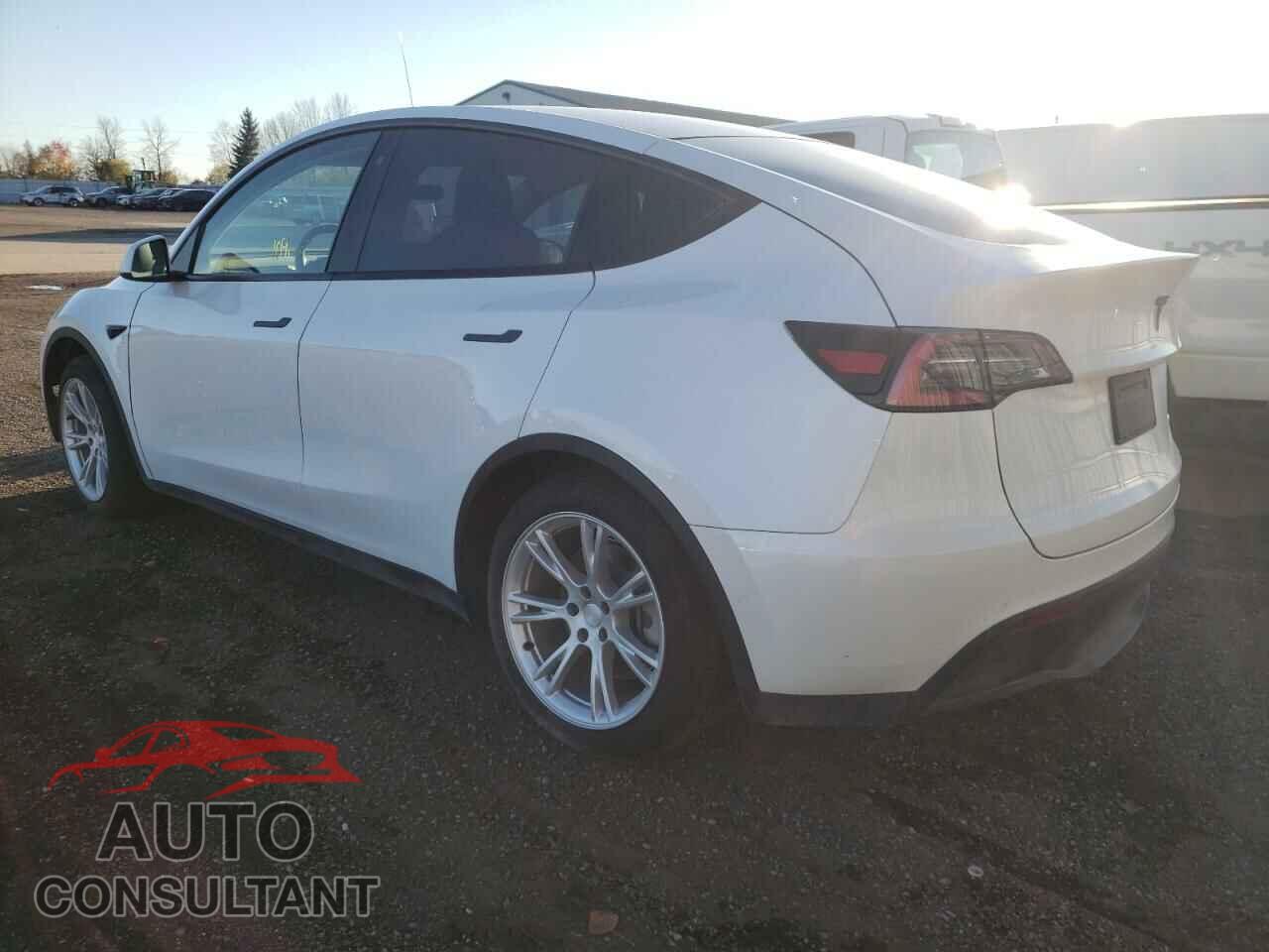 TESLA MODEL Y 2020 - 5YJYGDEE0LF044533