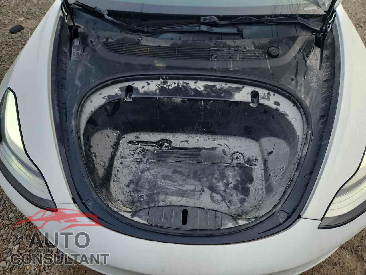 TESLA MODEL 3 2019 - 5YJ3E1EA3KF425111