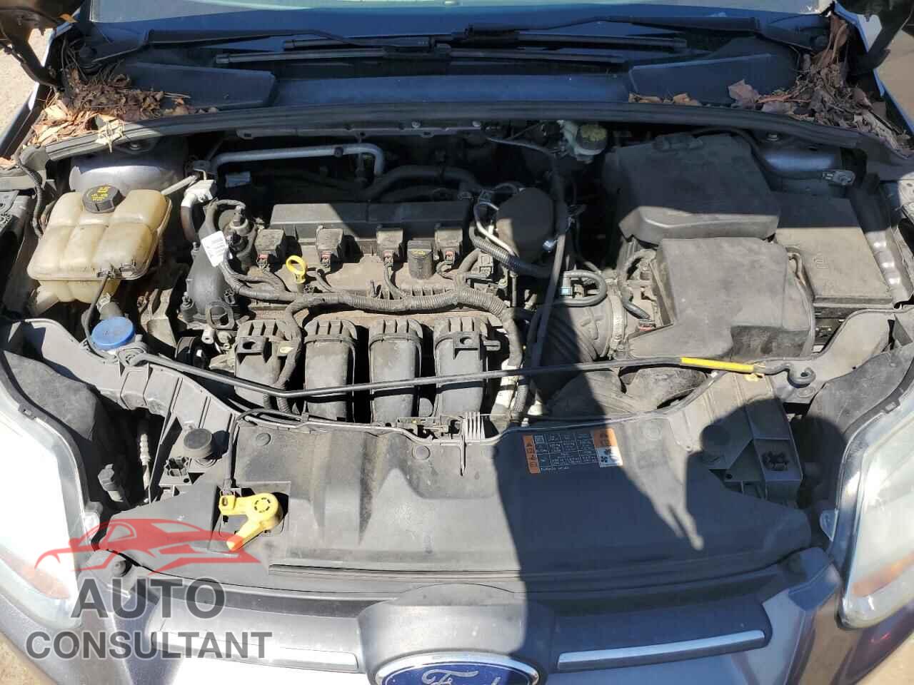 FORD FOCUS 2014 - 1FADP3K29EL454224