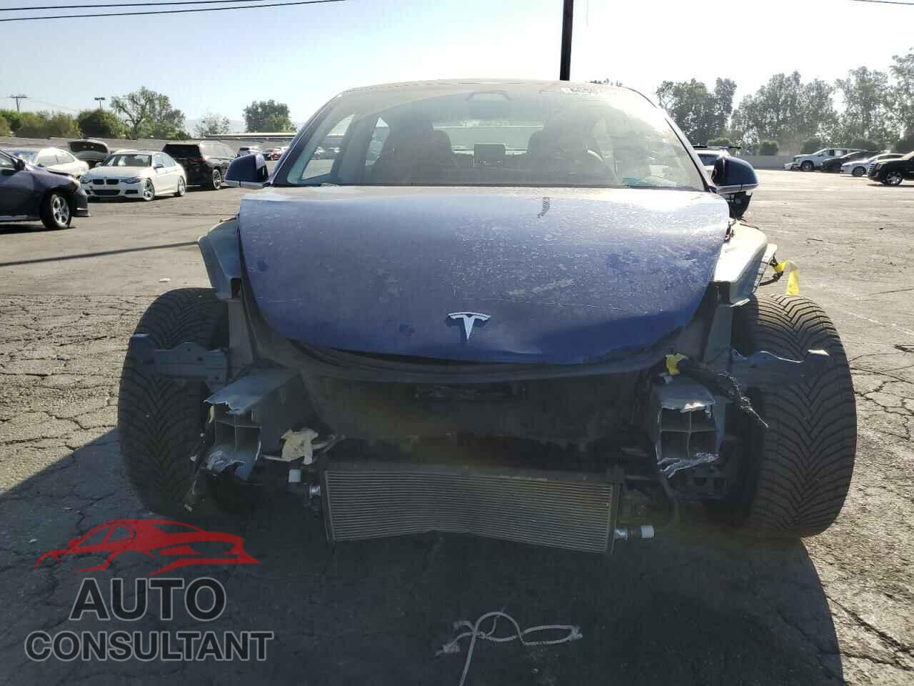 TESLA MODEL 3 2019 - 5YJ3E1EA2KF436049