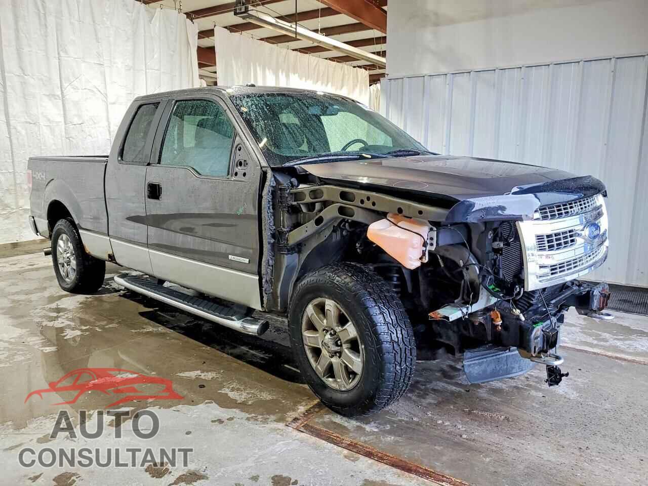 FORD F150 2013 - 1FTFX1ET9DFD88637