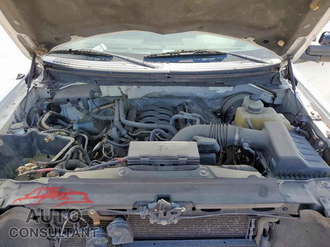FORD F-150 2012 - 1FTFW1CF8CFB27675