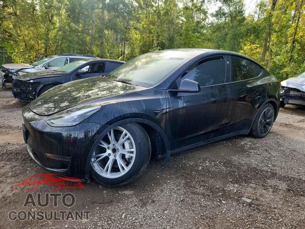 TESLA MODEL Y 2024 - 7SAYGDED4RF993649