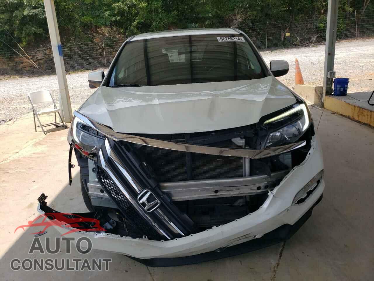 HONDA PILOT 2018 - 5FNYF5H51JB005984