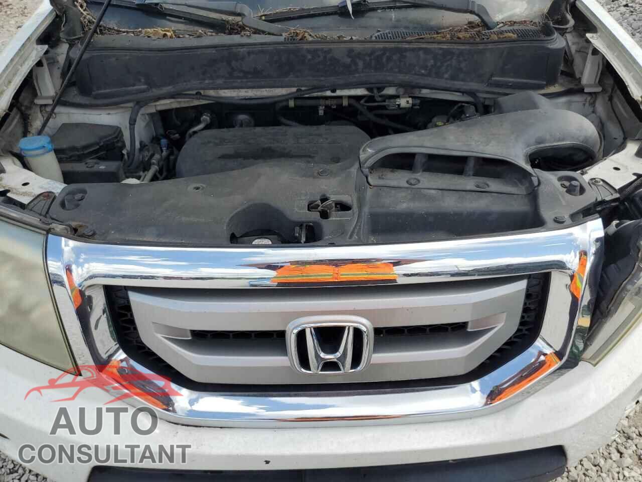 HONDA PILOT 2011 - 5FNYF4H5XBB077097