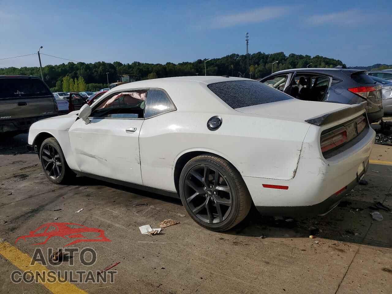 DODGE CHALLENGER 2019 - 2C3CDZBT8KH513383