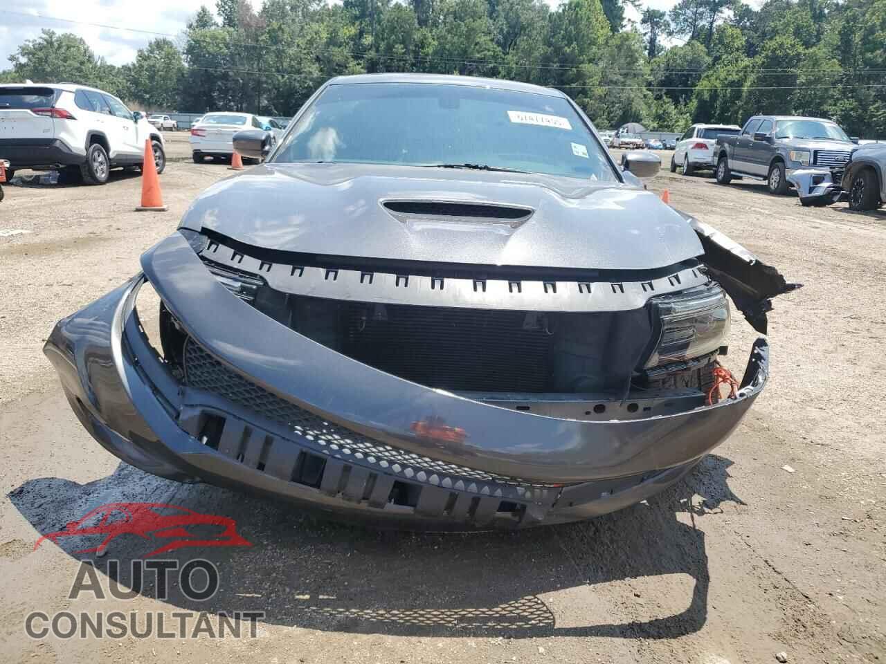 DODGE CHARGER 2019 - 2C3CDXCT3KH520129