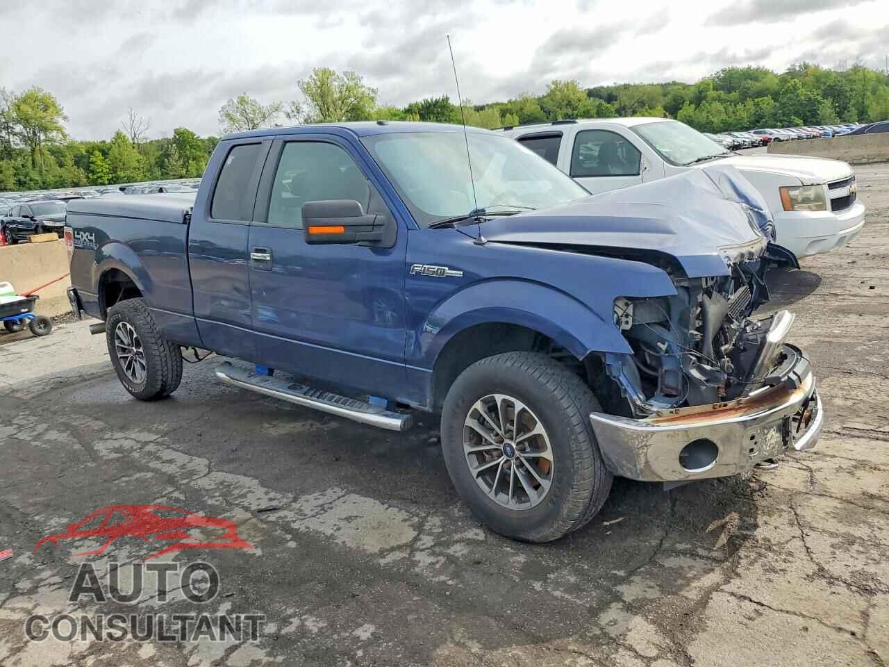 FORD F150 2011 - 1FTFX1EF2BFA54697