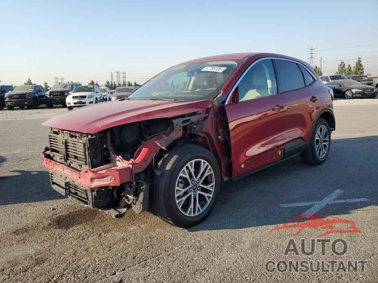 FORD ESCAPE 2022 - 1FMCU0CZ0NUA21664