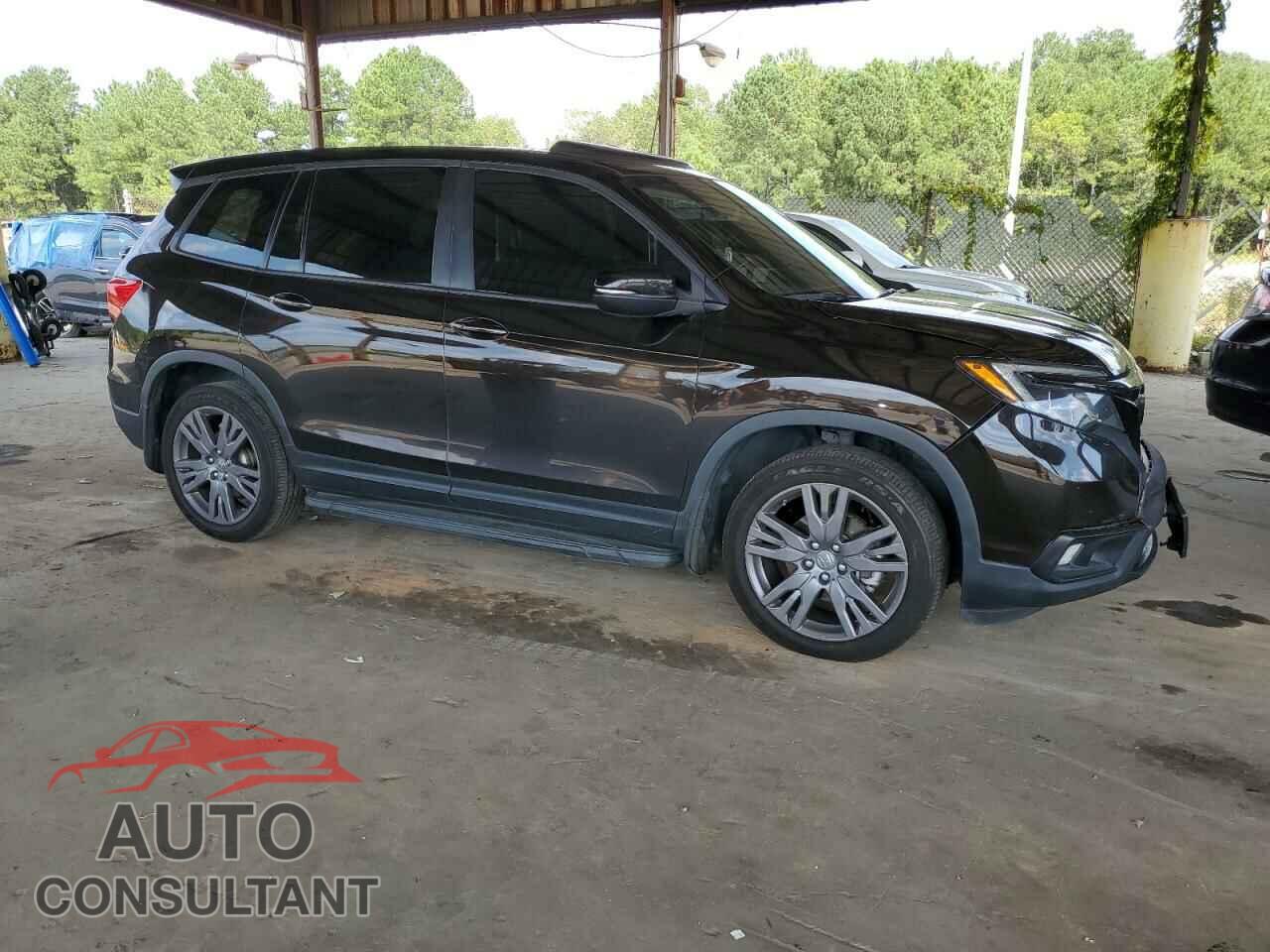HONDA PASSPORT 2019 - 5FNYF7H55KB004348